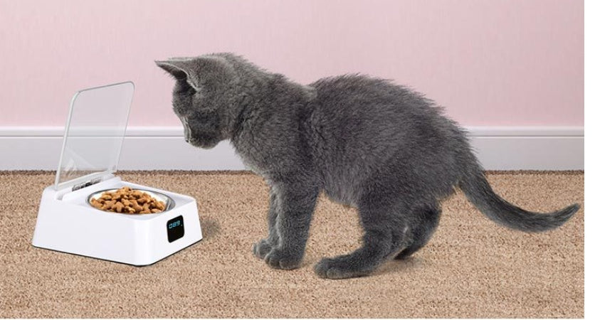 5G Bowl Automatic Pet Feeder – Smart Feeding for Busy Pet Parents