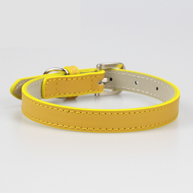 Leather Teddy Collar for Small & Medium Dogs – Soft, Stylish, Secure
