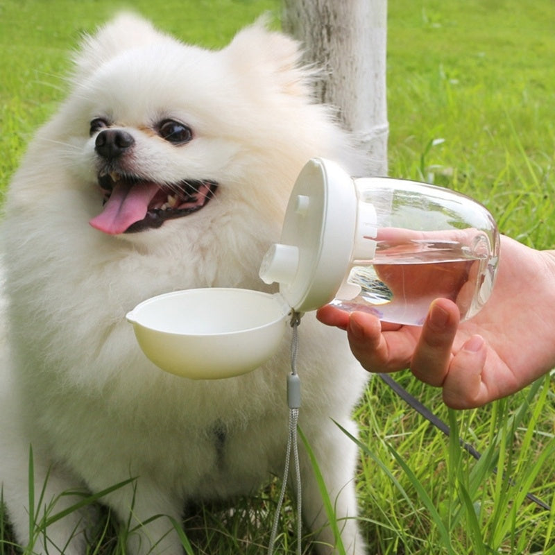 Thirst-Quencher Portable Bottle for Dogs – Mess-Free Hydration