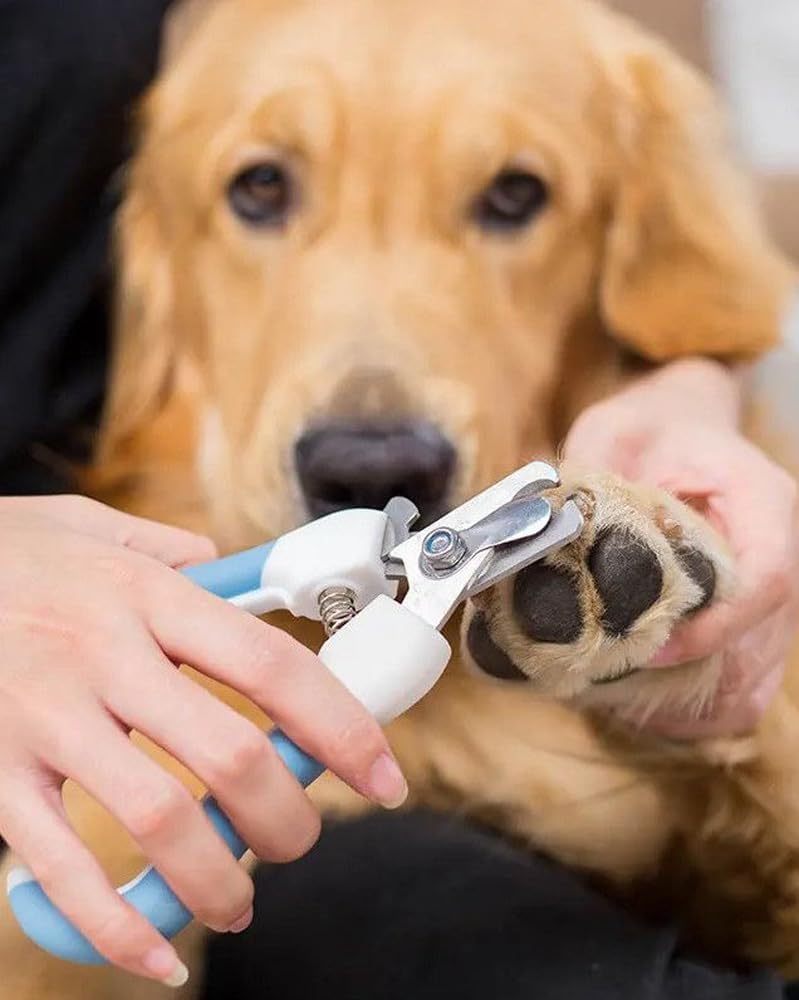 Ergonomic Cat Nail Clippers for Indoor Cats – Stainless Steel Trimmer for Cats, Kittens, Rabbits, and Small Pets – Non-Slip Grip, Safe & Quiet Grooming Tool