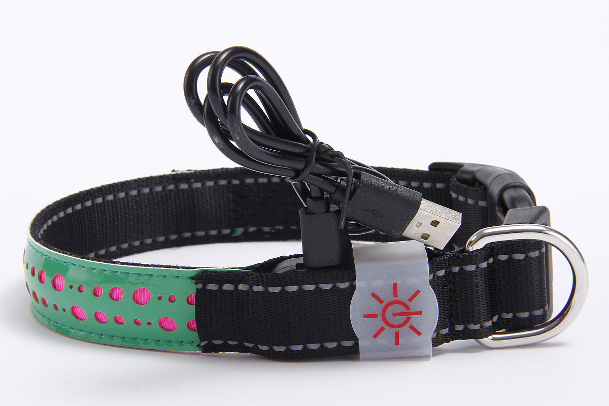 LED Luminous Leather Dog Collar – Engraved Style & Night Visibility