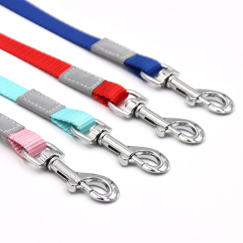 Color-Pop Reflective Dog Leash – Bright, Safe, Stylish