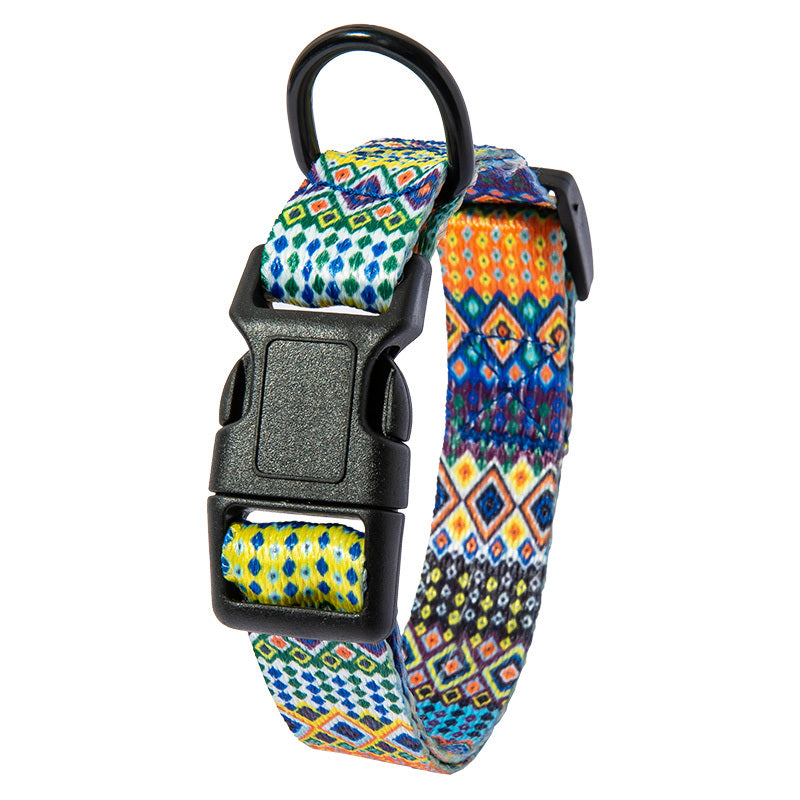 Comfort Fit Dog Collar & Leash Set – Stylish & Secure