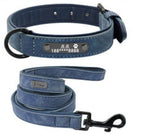 Traction Rope Lettered Dog Collar with Anti-Lost Tag – Stylish & Secure
