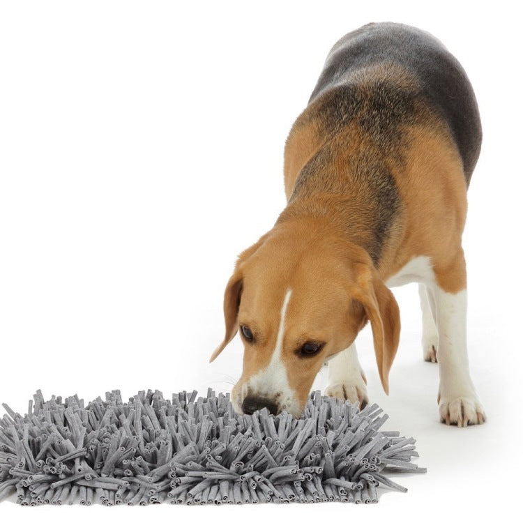 Interactive Sniff Forage Training Mat – Brain Boost & Slow Feeding