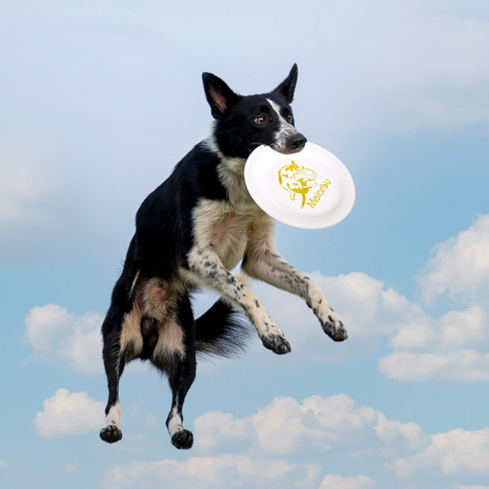 Pro-Level Standard Dog Training Tool – Competition Ready