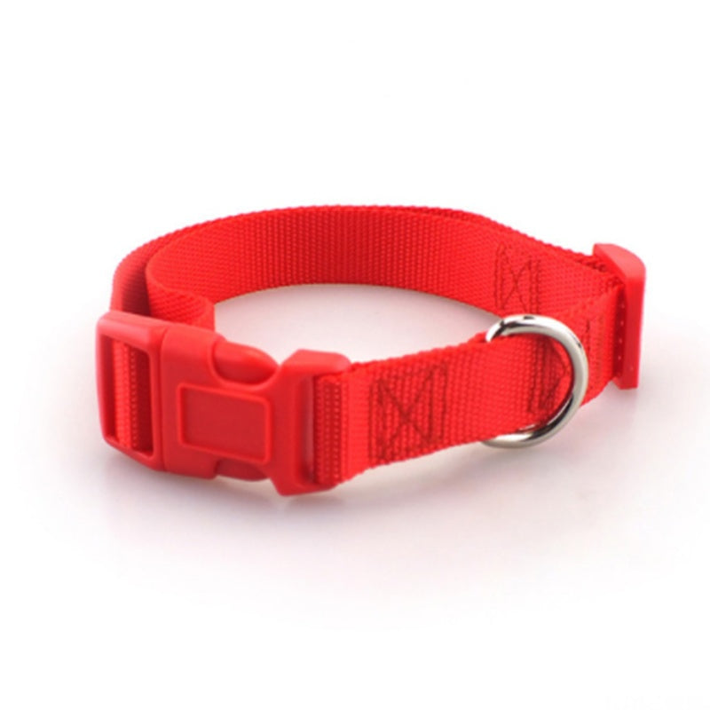 Everyday Plain Polyester Collar – Durable & Comfortable