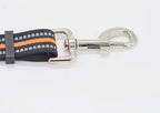 Adventure Flexi-Nylon Dog Leash – Freedom on Every Walk