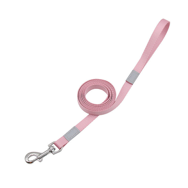 Color-Pop Reflective Dog Leash – Bright, Safe, Stylish