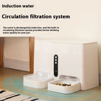 Smart Combo Feeder-Drinker All-In-One – Feed & Hydrate on Schedule