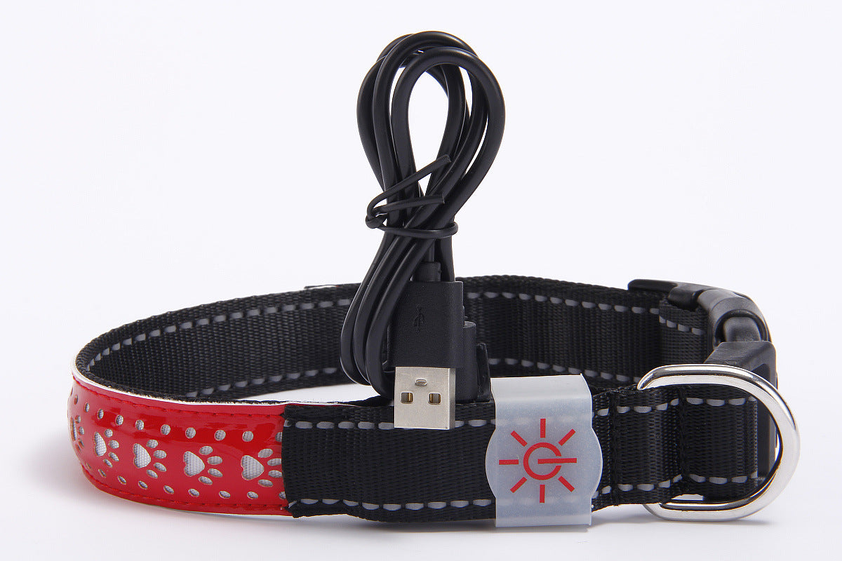LED Luminous Leather Dog Collar – Engraved Style & Night Visibility