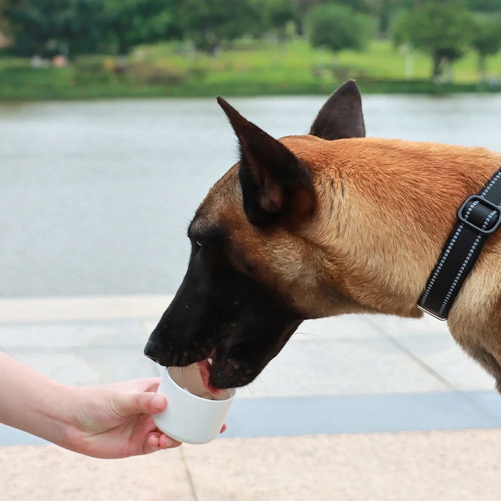 2-in-1 Pet Travel Bottle & Bowl – Fresh Water and Food Anytime, Anywhere