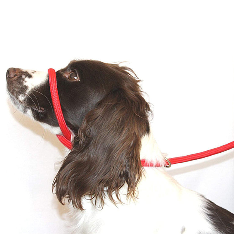 Adjustable Nylon Dog Mouth Leash – Soft, Breathable Training & Walking Head Harness for Dogs