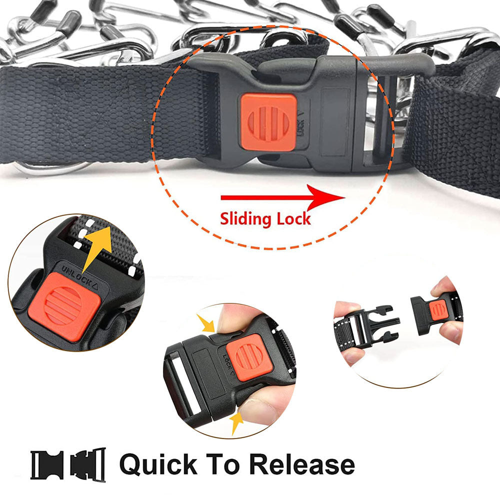 Heavy-Duty Spike Training Chain Collar — Strong Control & Bold Style