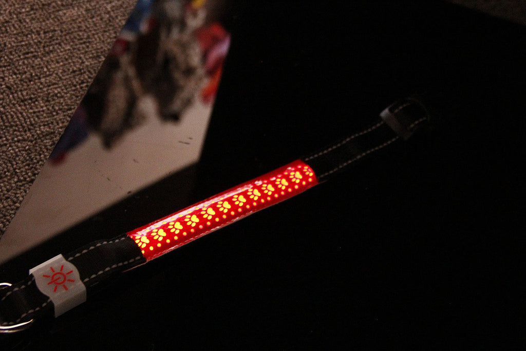 LED Luminous Leather Dog Collar – Engraved Style & Night Visibility