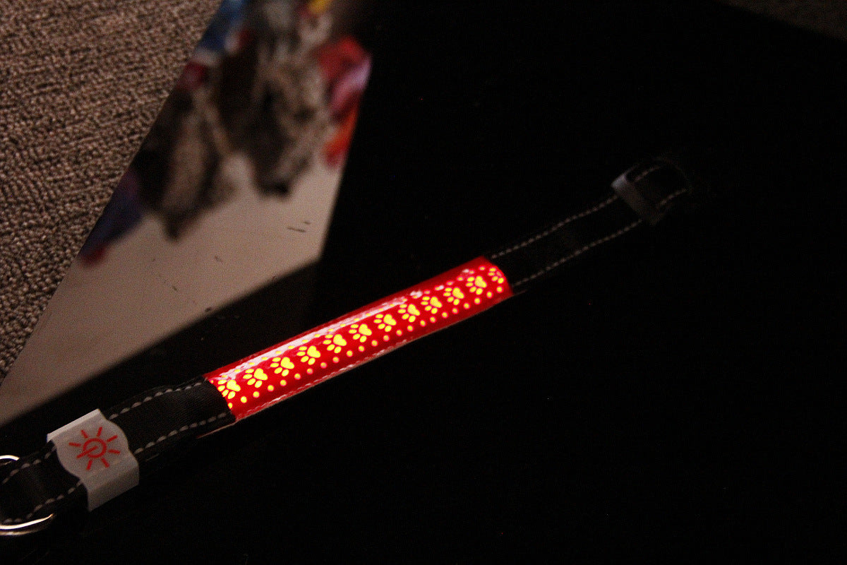 LED Luminous Leather Dog Collar – Engraved Style & Night Visibility