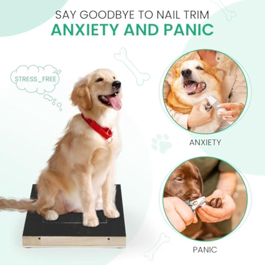 Dog Nail Scratch Board with Treat Box | Interactive Nail Trimming Toy for All Dog Sizes | Durable Wood Design