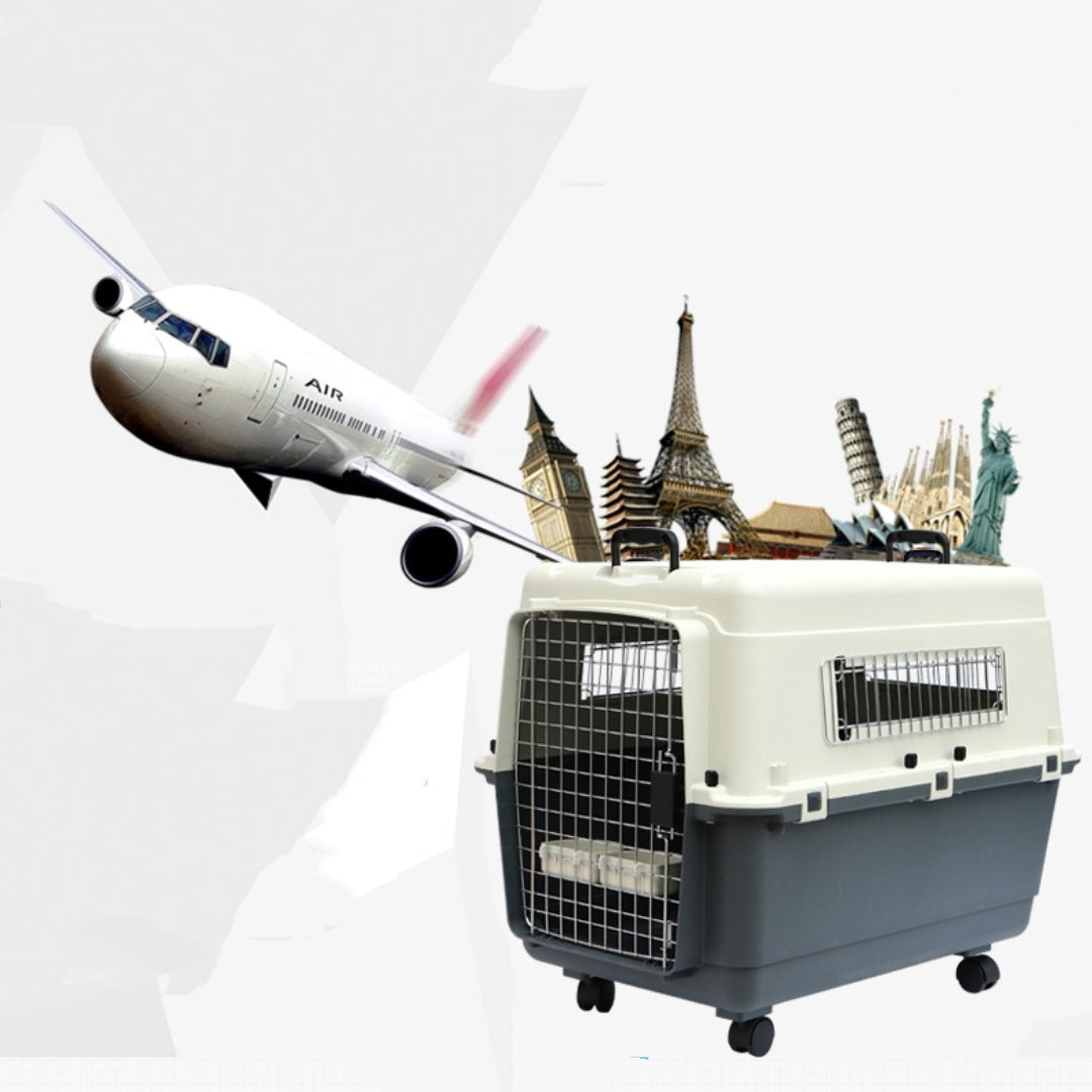 Airline-Ready Pet Travel Carrier – Safe, Portable Kennel for Dogs & Cats