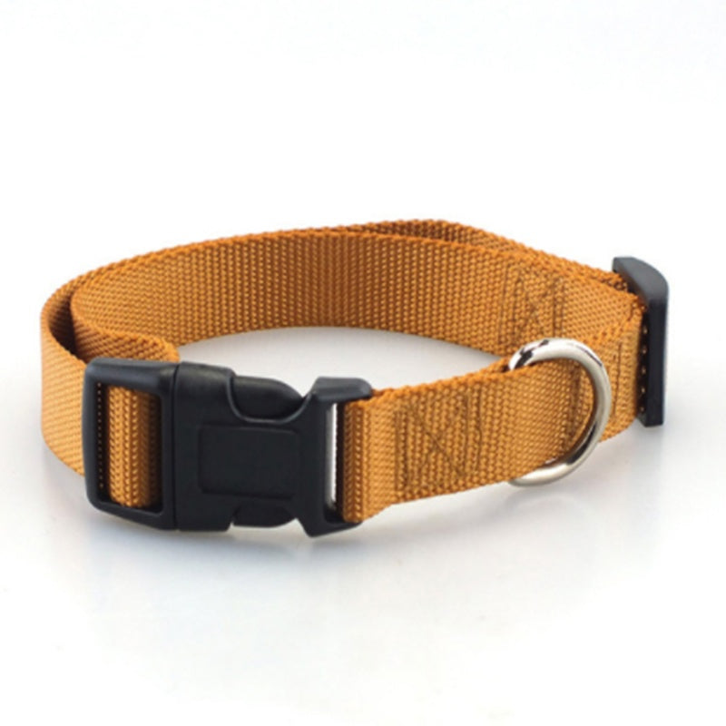 Everyday Plain Polyester Collar – Durable & Comfortable