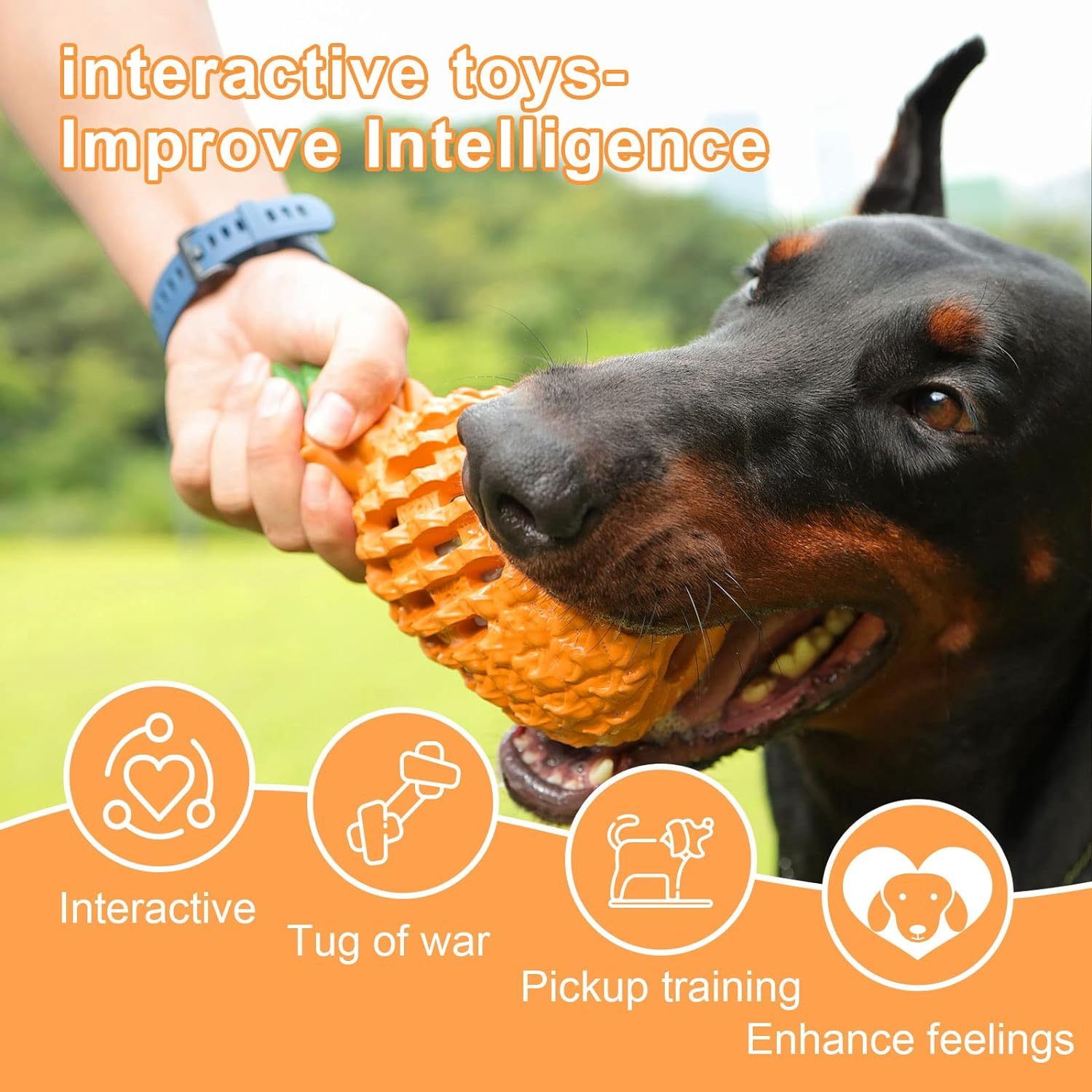Pineapple Indestructible Chew Toy – Built for Tough Chewers