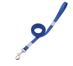 Color-Pop Reflective Dog Leash – Bright, Safe, Stylish