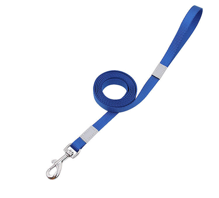 Color-Pop Reflective Dog Leash – Bright, Safe, Stylish